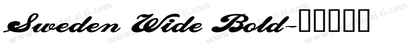 Sweden Wide Bold字体转换